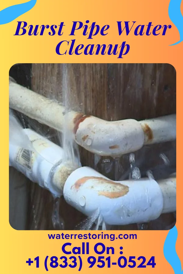 Burst Pipe Water Cleanup in Valparaiso, IN